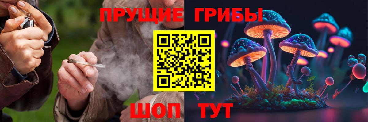 Тавда  Галлюциногенные грибы прущие грибы  Псилоцибиновые грибы прущие грибы  Вход с VPN 